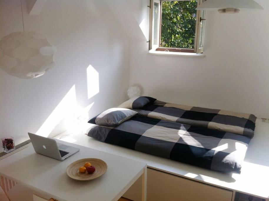 The Cute, Sunny Apartment In The Center +P Ljubljana Eksteriør billede
