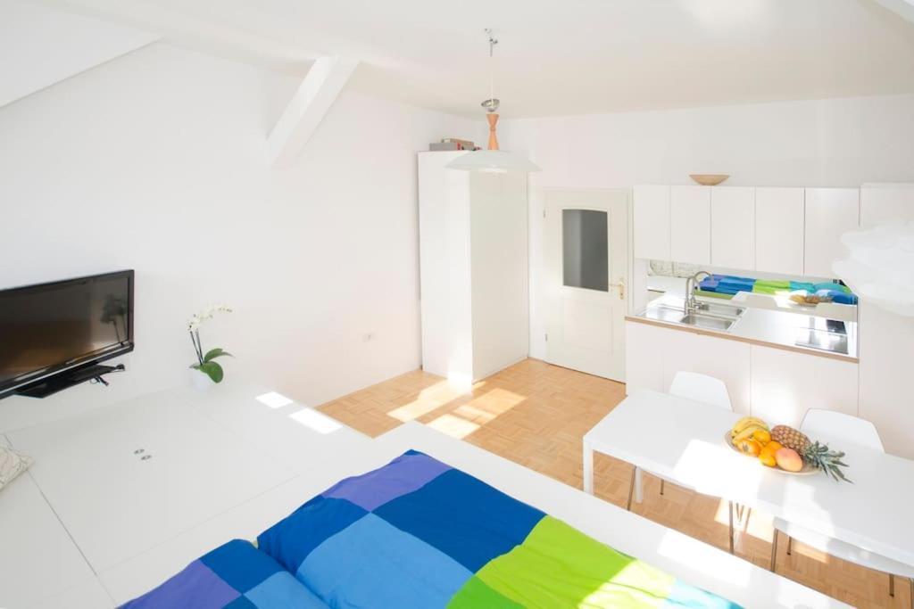 The Cute, Sunny Apartment In The Center +P Ljubljana Eksteriør billede