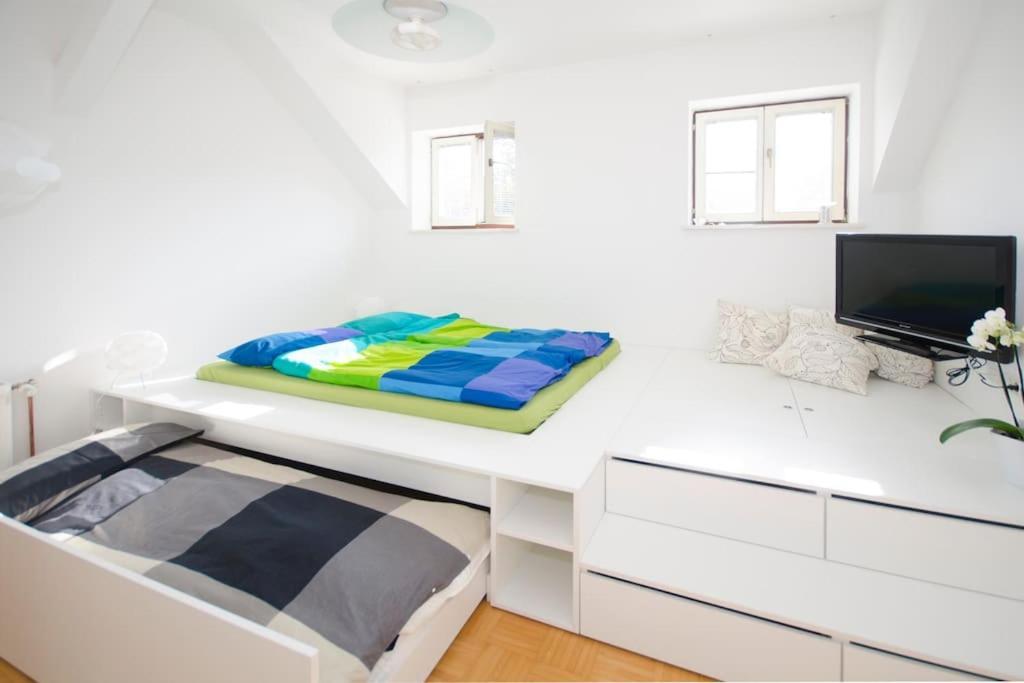 The Cute, Sunny Apartment In The Center +P Ljubljana Eksteriør billede